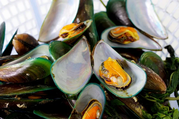 Aziatische groene Mossel, zeevruchten close-up — Stockfoto