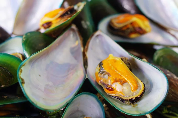 Asiatiska gröna musselbäddar, fisk och skaldjur på nära håll — Stockfoto