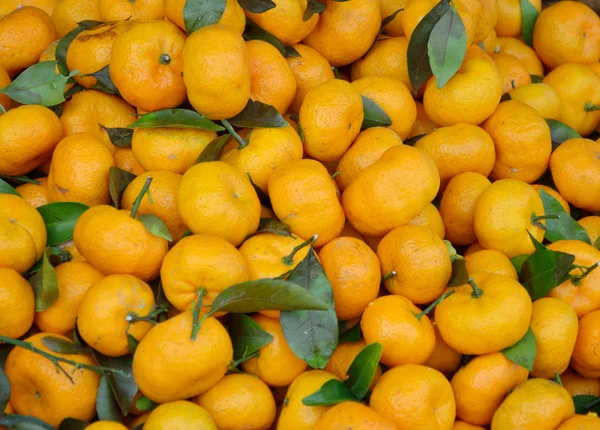 Group of oranges in the market — Stock Photo, Image
