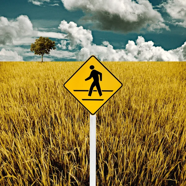 Człowiek krzyż znak drogowy z pola złoty ryż, — Zdjęcie stockowe