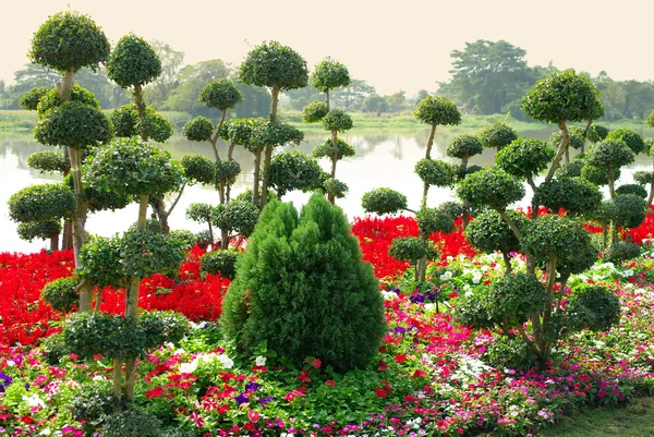 Romantischer Garten mit Fluss-Hintergrund — Stockfoto