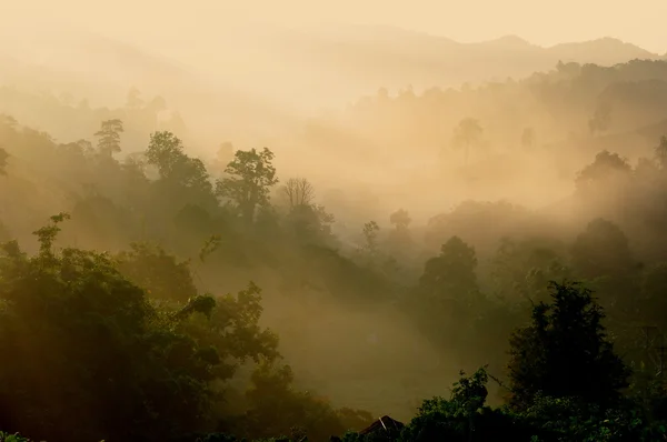 Landschap met de mist in de bergen — Stockfoto