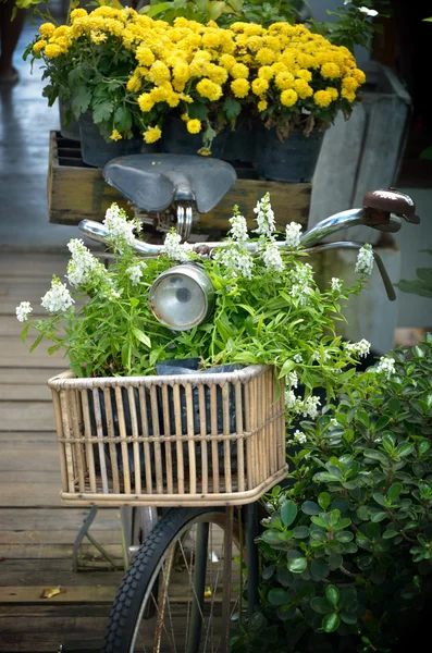 Vintage vélo avec fleur dans le panier — Photo