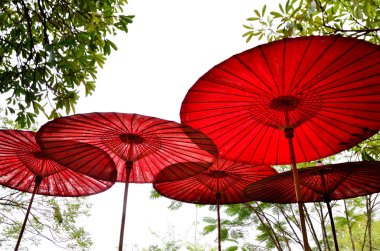 Bahçe içinde güzel kırmızı şemsiye