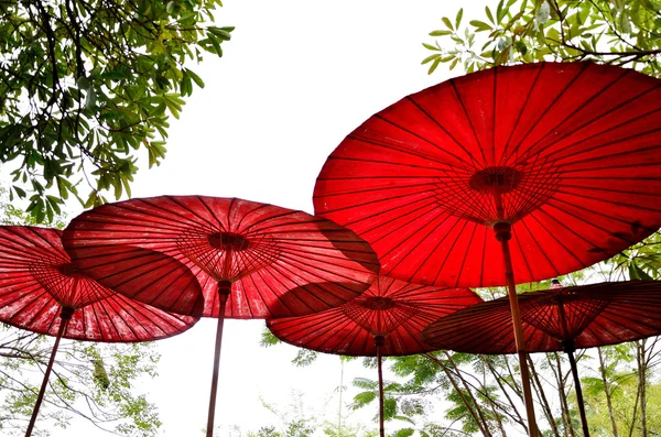 Schöner roter Regenschirm im Garten — Stockfoto