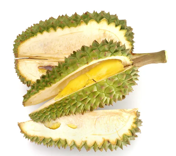 Taze durian izole — Stok fotoğraf