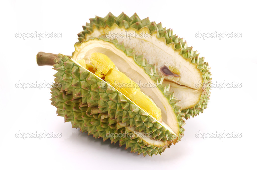Fresh Durian isolated