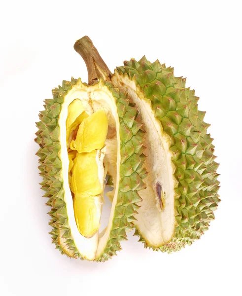 Durian fresco aislado —  Fotos de Stock