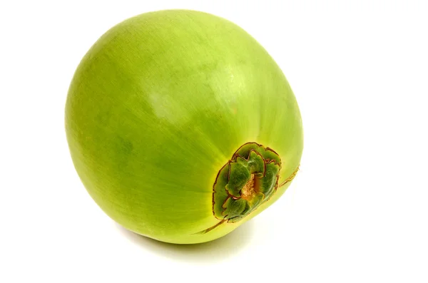 izole Hindistan cevizi