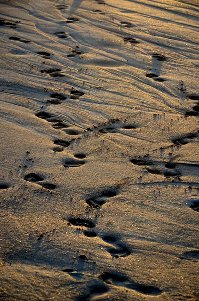 Sand på stranden — Stockfoto