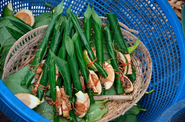 Areca mutter, BETELNÖT tuggas med blad är milt stimulerande för Sälj — Stockfoto