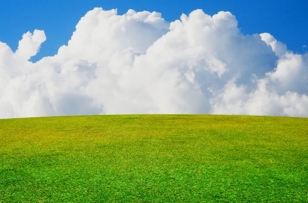 素敵な空の背景を持つ草フィールド — ストック写真