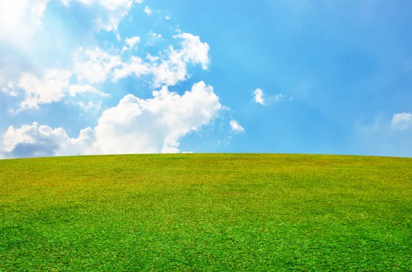 Gräsplan med fin himmel bakgrund — Stockfoto