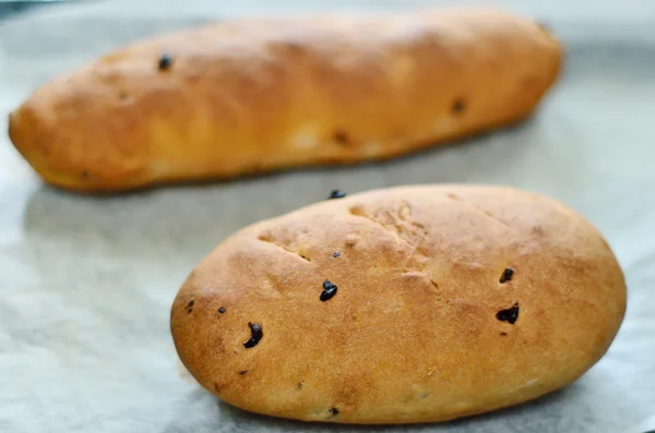 Domácí raisin chleba v zásobníku — Stock fotografie