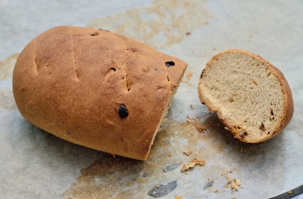 Hemlagad russin bröd — Stockfoto