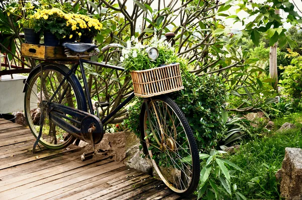 Винтажный велосипед с цветком в корзине — стоковое фото