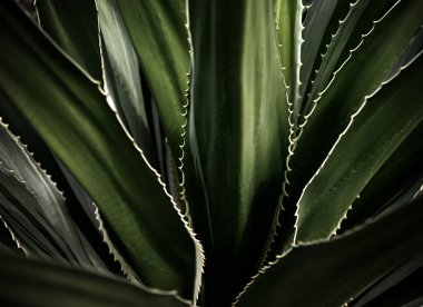 arka plan, fabrikayı kapatmak detay