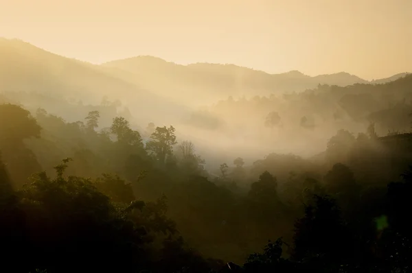 Hill Paisagem com nevoeiro de manhã — Fotografia de Stock