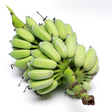 Organik tarım yeşil muz