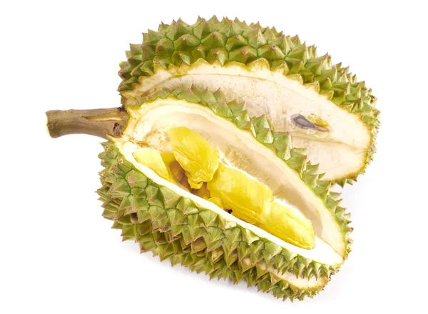 Świeże durian izolowane na białym tle — Zdjęcie stockowe