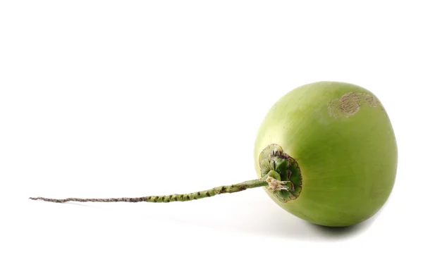 Coconut isolated — Stock Photo, Image