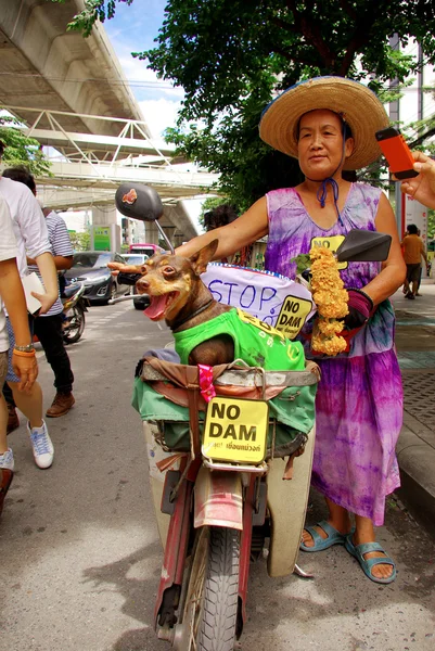 Unbekannte alte Frau geht mit ihrem Hund gegen den Bau eines Staudamms im Mae Wong Nationalpark spazieren — Stockfoto