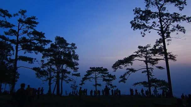 Turista espera para ver el amanecer en Pha Nok Ann (Swallow Cliff), Phu Kradueng Parque Nacional de Tailandia — Vídeo de stock