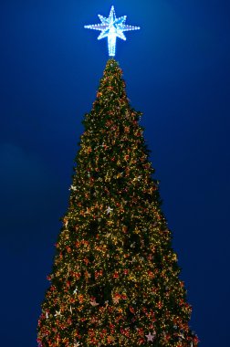 aydınlatma ile Noel ağacı süslemek