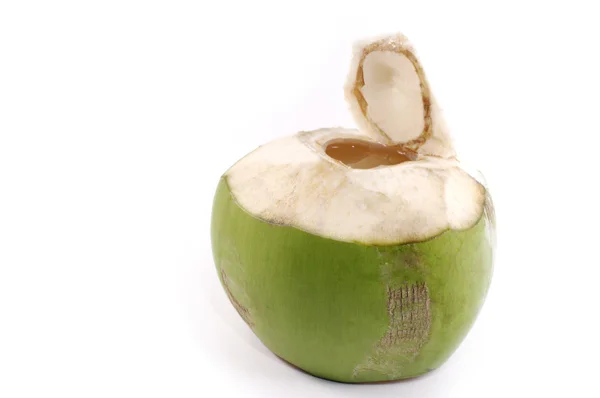 Cocco isolato — Foto Stock