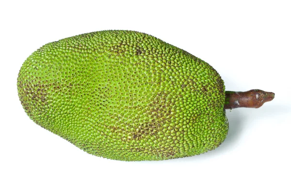 Jackfruit na białym tle — Zdjęcie stockowe
