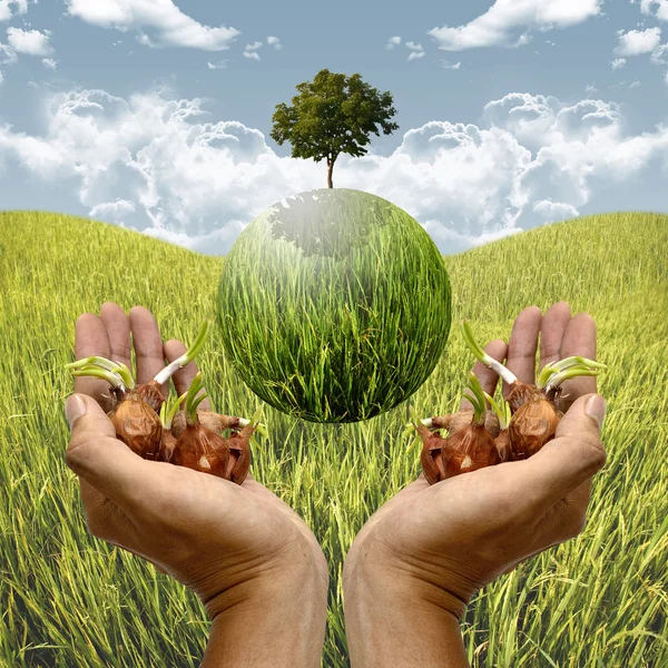 Healing the planet by plantation concept — Stock Photo, Image
