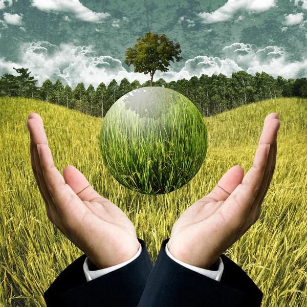 Hållbart jordbruk affär för rädda jorden konceptet — Stockfoto