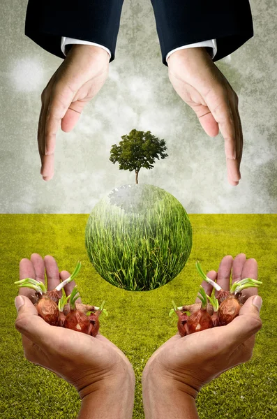 birlikte dünya kavramı için yardımcı olur