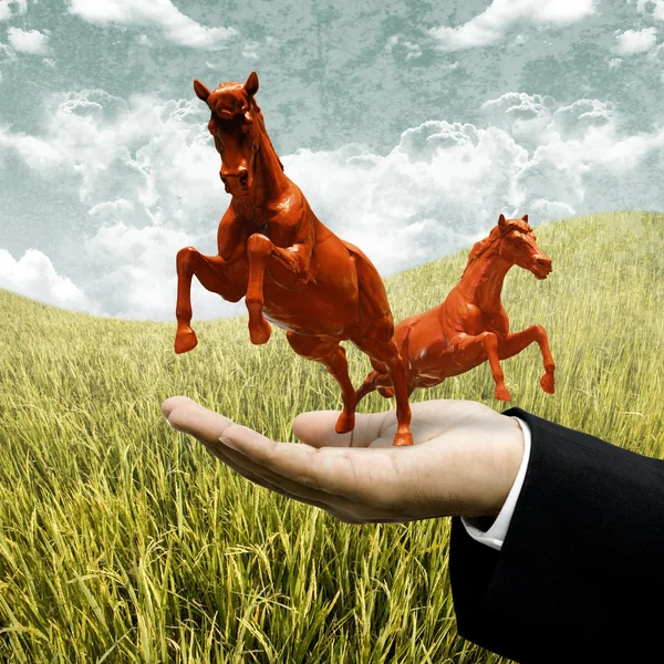 Animal farm business concept, Investor carry red horse on filed — Stock Photo, Image