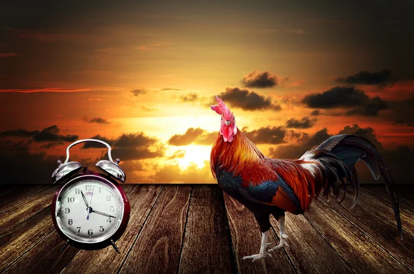 Wake up with rooster crows concept — Stock Photo, Image
