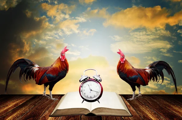 Wake up in morning with rooster crows for read — Stock Photo, Image