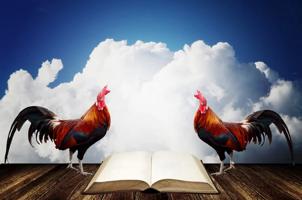 Wake up with rooster crows for read a book — Stock Photo, Image