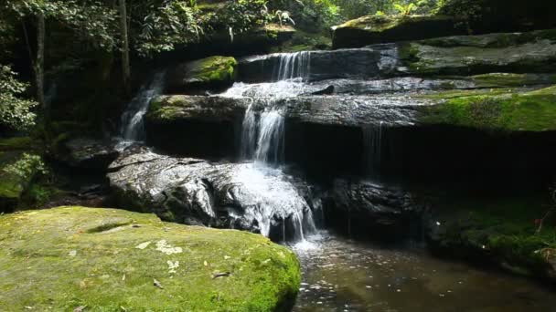 Cascata di Tham Yai a Phu Kradeug, provincia di Leio, Thailandia — Video Stock