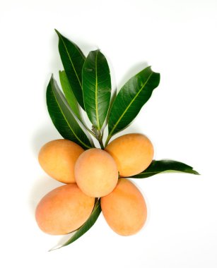 prstem stisknutím mezerníku tlačítka