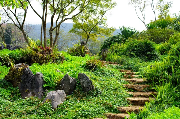 Schöne Landschaft in den Bergen — Stockfoto