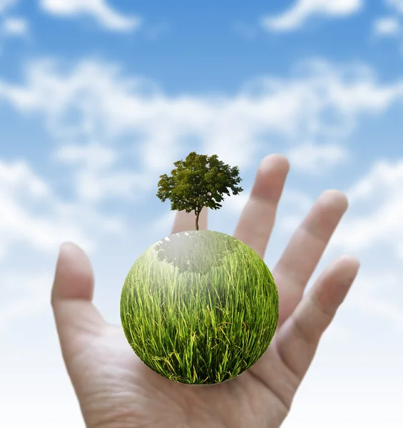 Gospodarstwa świecące glob i drzewa w ręku, Zielona koncepcja — Zdjęcie stockowe