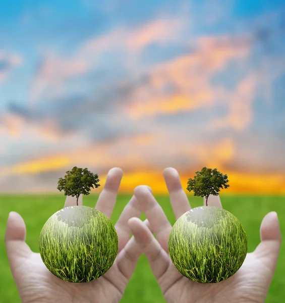 Sosteniendo un globo brillante y un árbol en la mano, concepto verde —  Fotos de Stock