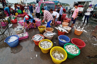 Chonburi, Tayland - Ağustos 17: kimliği belirsiz kişi balık üzerinde Ağustos 17, 2013 yılında sriracha, chonburi, Tayland ticaret 
