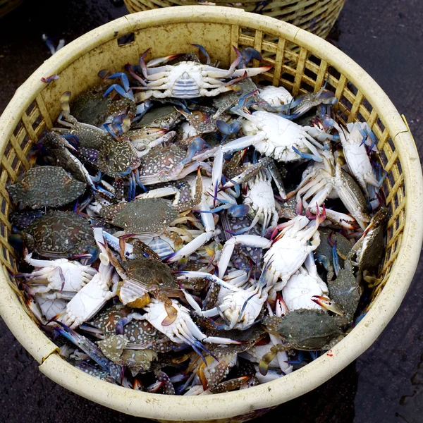 Caranguejo no cesto — Fotografia de Stock