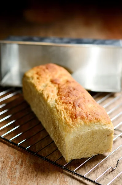 Raisin bread — Stok fotoğraf