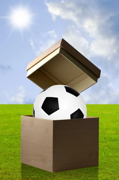 Soccer in the open box — Stock Photo, Image