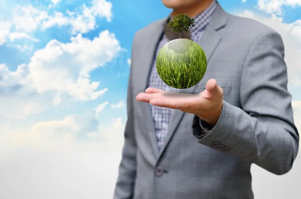 Grünes Geschäftskonzept, grüner Planet auf der Hand — Stockfoto