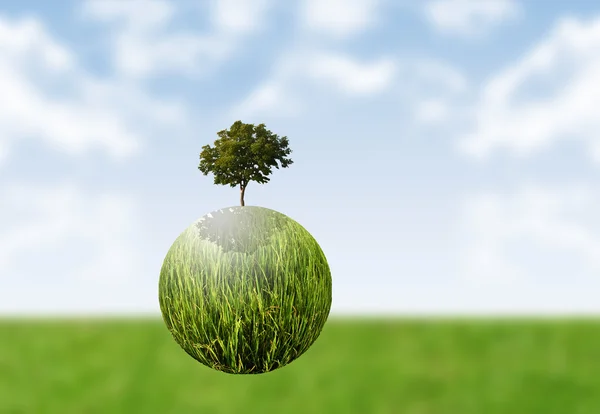 World plant flying with field and sky background — Stock Photo, Image