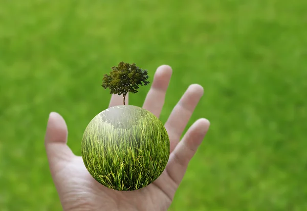 Help de aarde door plantage concept — Stockfoto