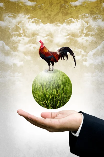 Businessman show the green planet with chicken, Organic farm concept — Stock Photo, Image